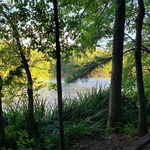 Meet your Posher, Jacqueline